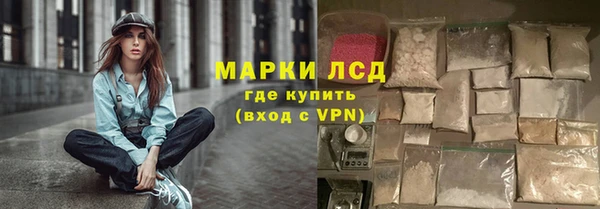 spice Верея