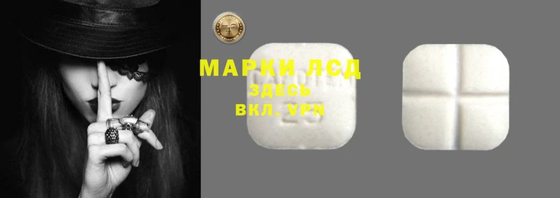 spice Верея
