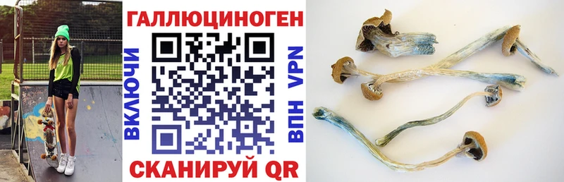 где найти   Магнитогорск  Псилоцибиновые грибы MAGIC MUSHROOMS 
